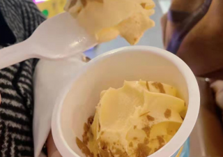 小雪花自助冰淇淋機(jī)有哪些常見(jiàn)故障？如何解決？